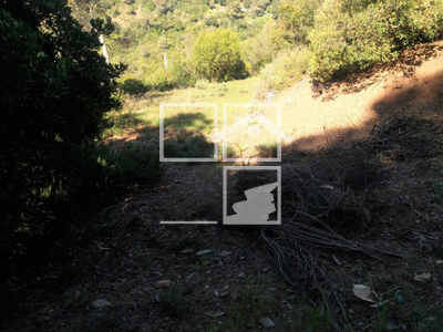 Inmueble en Calle Torrent del Llort    , Barcelona