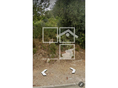 Local en Calafell Tarragona