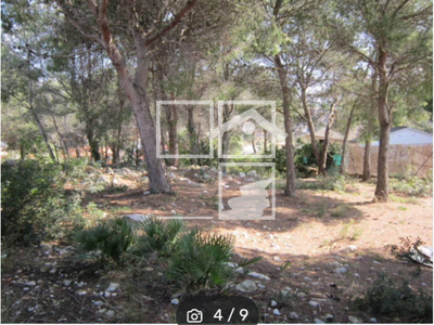 Local en Calafell Tarragona