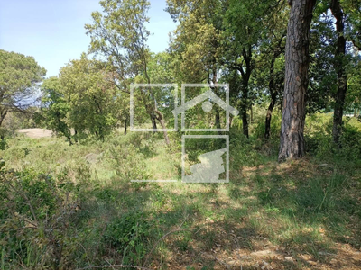 Local en Seva Barcelona