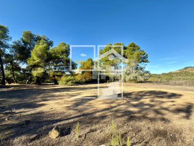 Local en Vinaixa Lleida