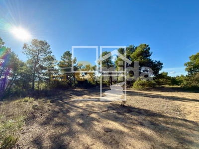 Local en Vinaixa Lleida